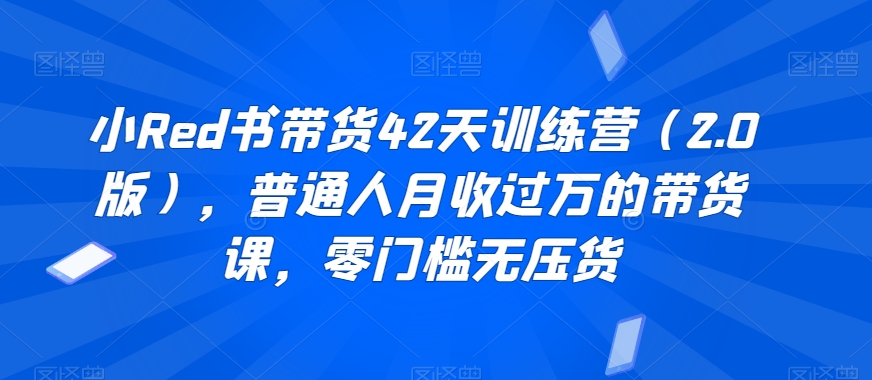 小Red书带货42天训练营（2.0版），普通人月收过万的带货课，零门槛无压货-逐浪前行