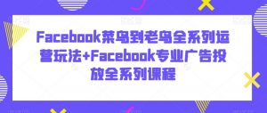 Facebook菜鸟到老鸟全系列运营玩法+Facebook专业广告投放全系列课程-逐浪前行