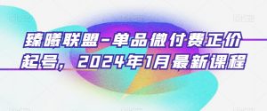 臻曦联盟-单品微付费正价起号,2024年1月最新课程-逐浪前行