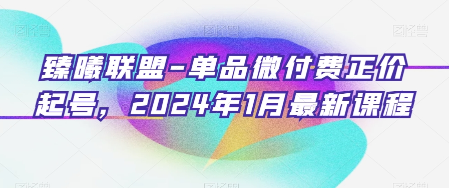 臻曦联盟-单品微付费正价起号，2024年1月最新课程-逐浪前行
