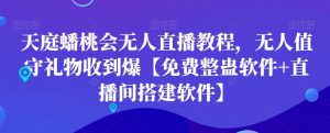 天庭蟠桃会无人直播教程，无人值守礼物收到爆【免费整蛊软件+直播间搭建软件】-逐浪前行