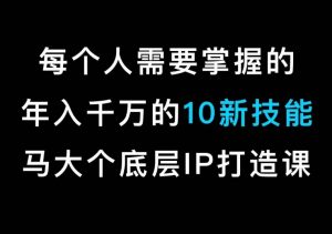 马大个的IP底层逻辑课,每个人需要掌握的年入千万的10新技能,约会底层IP打造方法!-逐浪前行