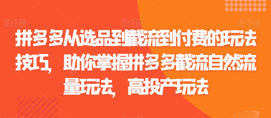 拼多多从选品到截流到付费的玩法技巧，助你掌握拼多多截流自然流量玩法，高投产玩法-逐浪前行