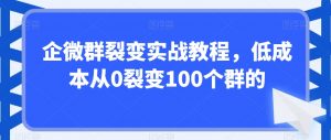 企微群裂变实战教程,低成本从0裂变100个群的-逐浪前行