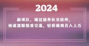 2024新项目,通过国外社交软件,快速涨粉精准引流,轻松做到月入上万【揭秘】-逐浪前行