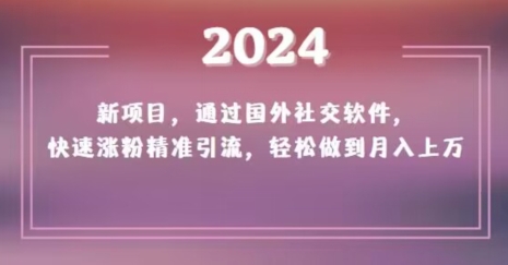 2024新项目，通过国外社交软件，快速涨粉精准引流，轻松做到月入上万【揭秘】-逐浪前行