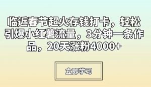 临近春节超火存钱打卡,轻松引爆小红薯流量,3分钟一条作品,20天涨粉4000+【揭秘】-逐浪前行