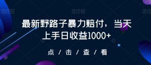 最新野路子暴力赔付，当天上手日收益1000+【仅揭秘】-逐浪前行