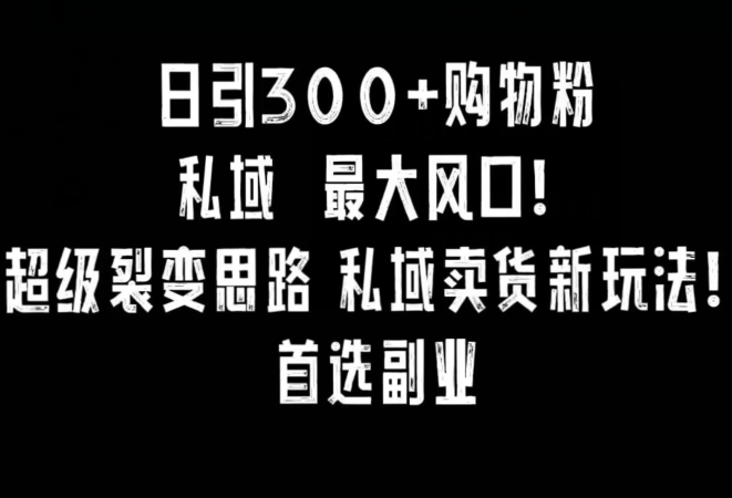 日引300+购物粉，超级裂变思路，私域卖货新玩法，小红书首选副业【揭秘】-逐浪前行