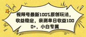 视频号最新100%原创玩法，收益稳定，亲测单日收益1000+，小白专属【揭秘】-逐浪前行