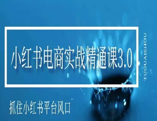 小红书电商实战精通课3.0，抓住小红书平台的风口，不错过有一个赚钱的机会-逐浪前行