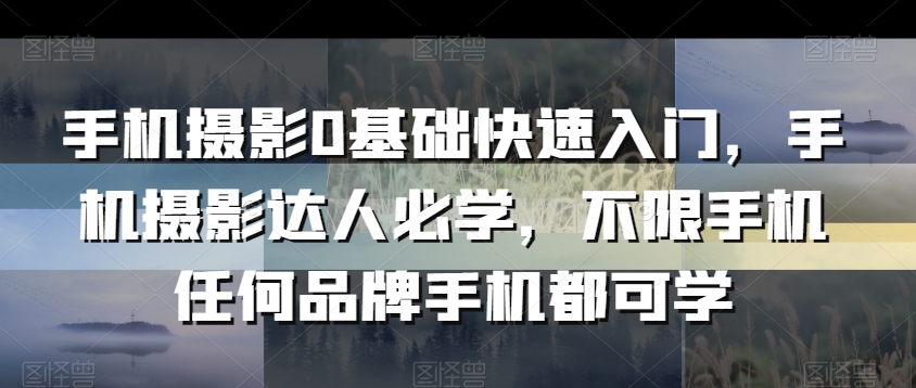 手机摄影0基础快速入门，手机摄影达人必学，不限手机任何品牌手机都可学-逐浪前行