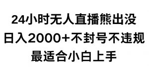 快手24小时无人直播熊出没，不封直播间，不违规，日入2000+，最适合小白上手，保姆式教学【揭秘】-逐浪前行