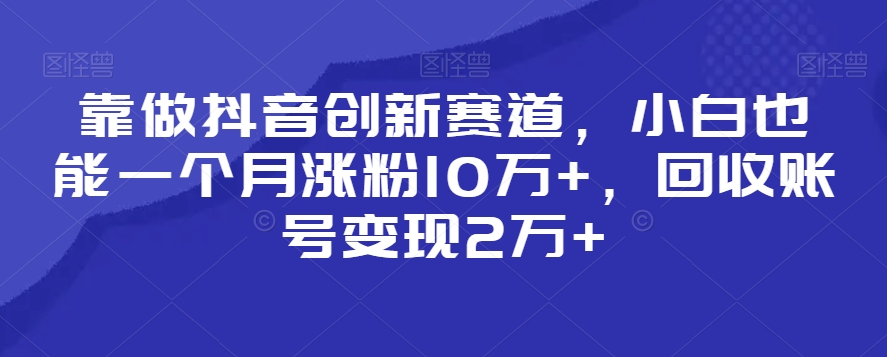 靠做抖音创新赛道，小白也能一个月涨粉10万+，回收账号变现2万+【揭秘】-逐浪前行