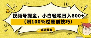 视频号掘金，小白轻松日入800+（附100%过原创技巧）【揭秘】-逐浪前行
