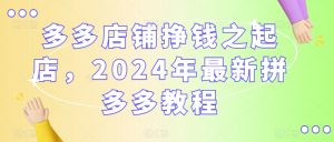 多多店铺挣钱之起店,2024年最新拼多多教程-逐浪前行