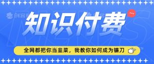 2024最新知识付费项目,小白也能轻松入局,全网都在教你做项目,我教你做镰刀【揭秘】-逐浪前行