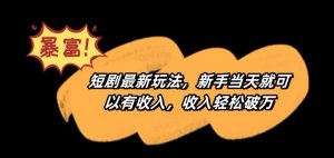 短剧最新玩法,新手当天就可以有收入,收入轻松破万【揭秘】-逐浪前行