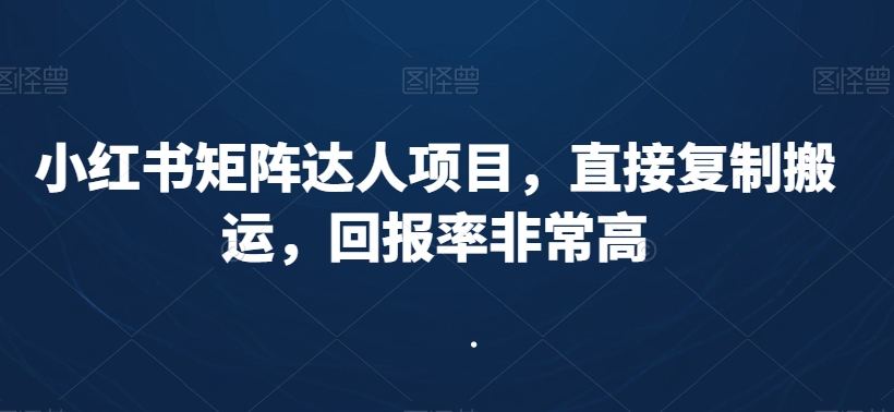 小红书矩阵达人项目，直接复制搬运，回报率非常高-逐浪前行