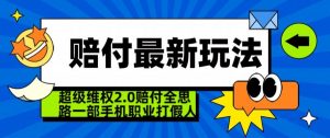 超级维权2.0全新玩法，2024赔付全思路职业打假一部手机搞定【仅揭秘】-逐浪前行