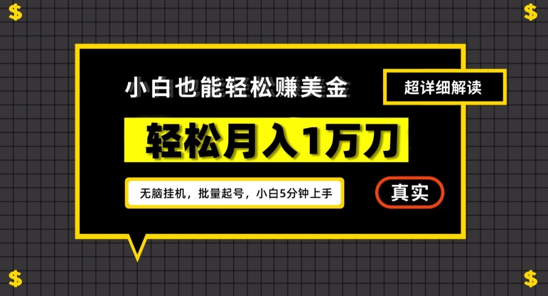 谷歌看广告撸美金2.0，无脑挂机，多号操作，月入1万刀【揭秘】-逐浪前行