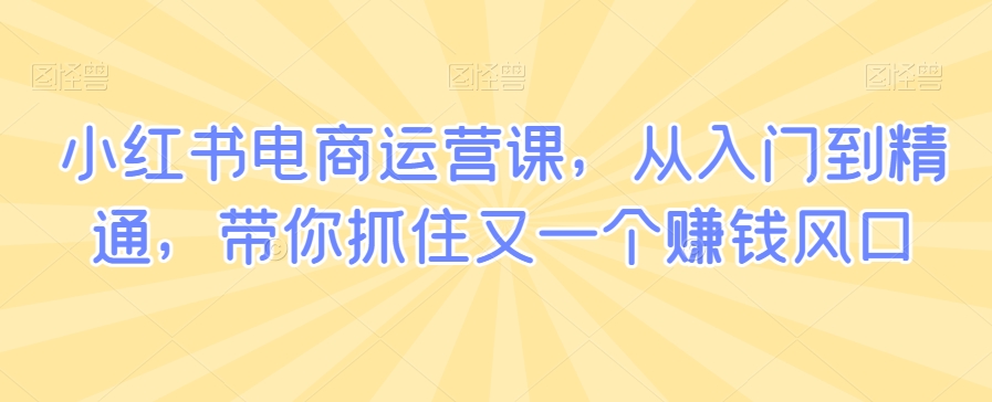 小红书电商运营课，从入门到精通，带你抓住又一个赚钱风口-逐浪前行