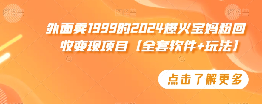 外面卖1999的2024爆火宝妈粉回收变现项目【全套软件+玩法】【揭秘】-逐浪前行