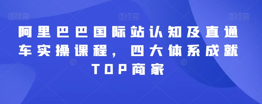 阿里巴巴国际站认知及直通车实操课程，四大体系成就TOP商家-逐浪前行