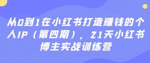 从0到1在小红书打造赚钱的个人IP(第四期),21天小红书博主实战训练营-逐浪前行