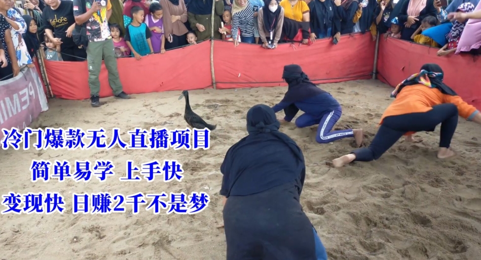 冷门爆款无人直播项目，简单易学上手快，变现快日赚2千不是梦【揭秘】-逐浪前行