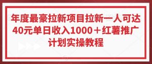 年度最豪拉新项目拉新一人可达40元单日收入1000+红薯推广计划实操教程【揭秘】-逐浪前行