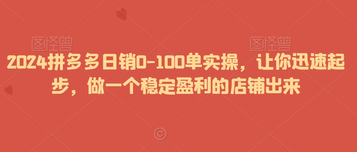 2024拼多多日销0-100单实操，让你迅速起步，做一个稳定盈利的店铺出来-逐浪前行