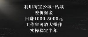 利用淘宝公域+私域差价掘金，日赚1000-5000元，工作室可放大操作，实操稳定半年【揭秘】-逐浪前行