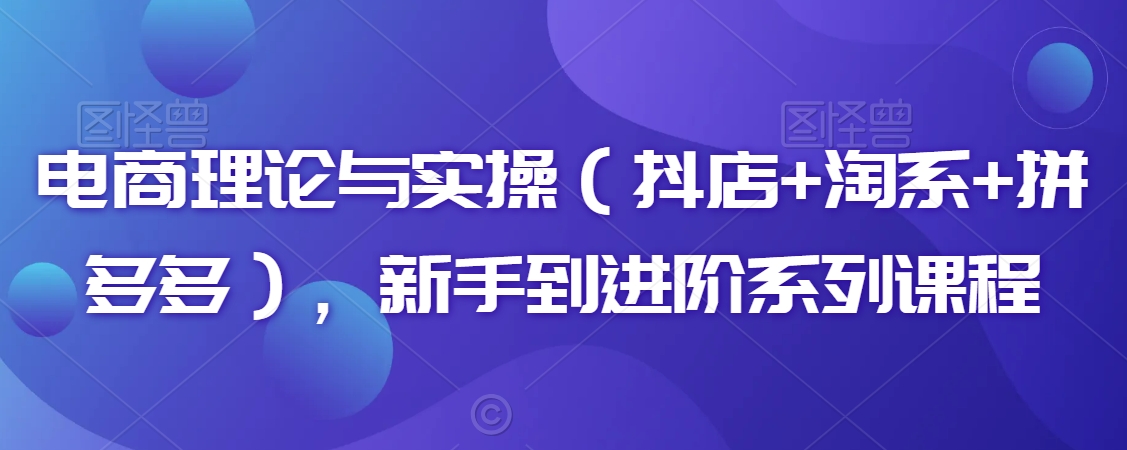 电商理论与实操（抖店+淘系+拼多多），新手到进阶系列课程-逐浪前行