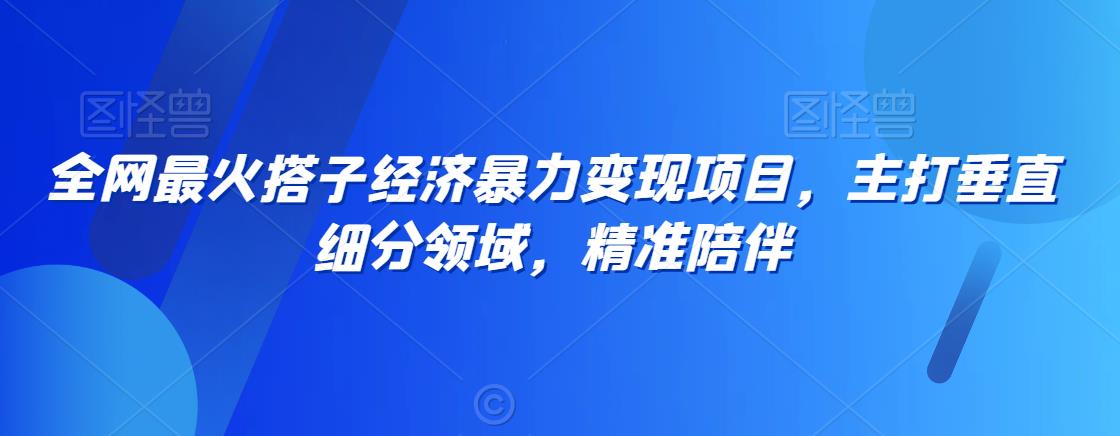 全网最火搭子经济暴力变现项目，主打垂直细分领域，精准陪伴【揭秘】-逐浪前行