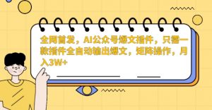 全网首发，AI公众号爆文插件，只需一款插件全自动输出爆文，矩阵操作，月入3W+【揭秘】-逐浪前行