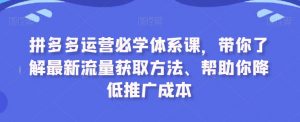 拼多多运营必学体系课,带你了解最新流量获取方法、帮助你降低推广成本-逐浪前行