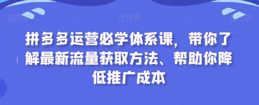 拼多多运营必学体系课，带你了解最新流量获取方法、帮助你降低推广成本-逐浪前行