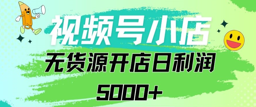 视频号无货源小店从0到1日订单量千单以上纯利润稳稳5000+【揭秘】-逐浪前行