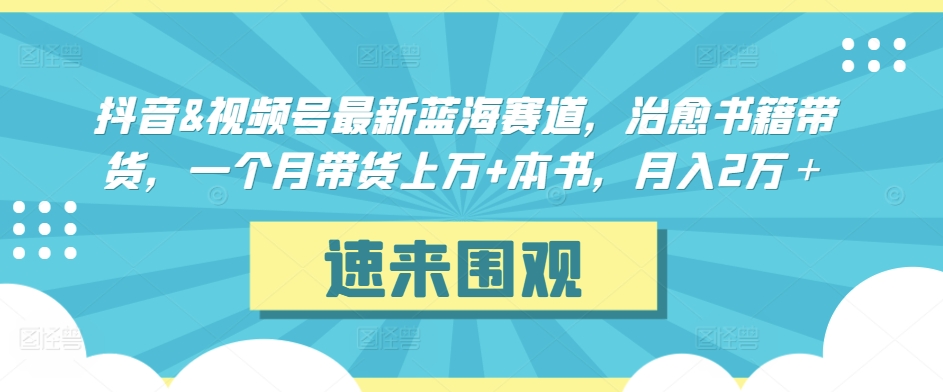 抖音&视频号最新蓝海赛道，治愈书籍带货，一个月带货上万+本书，月入2万＋【揭秘】-逐浪前行