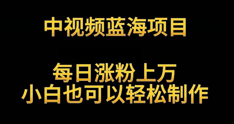 中视频蓝海项目，解读英雄人物生平，每日涨粉上万，小白也可以轻松制作，月入过万不是梦【揭秘】-逐浪前行