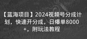 【蓝海项目】2024视频号分成计划,快速开分成,日爆单8000+,附玩法教程-逐浪前行