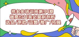 拼多多培训班第34期:做高价女装必盈利剖析选品/测款/运营/推广/拓展-逐浪前行