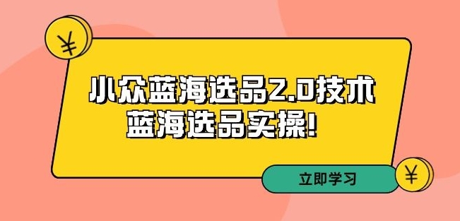 拼多多培训第33期：小众蓝海选品2.0技术-蓝海选品实操！-逐浪前行