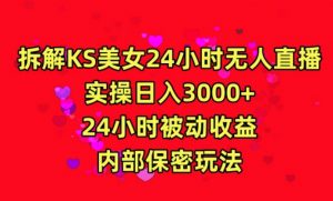 利用快手24小时无人美女直播,实操日入3000,24小时被动收益,内部保密玩法【揭秘】-逐浪前行