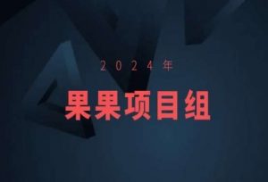 2024年果果项目组项目合集-果果最新项目-逐浪前行