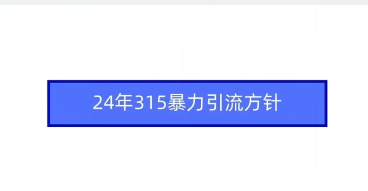 24年315暴力引流方针-逐浪前行