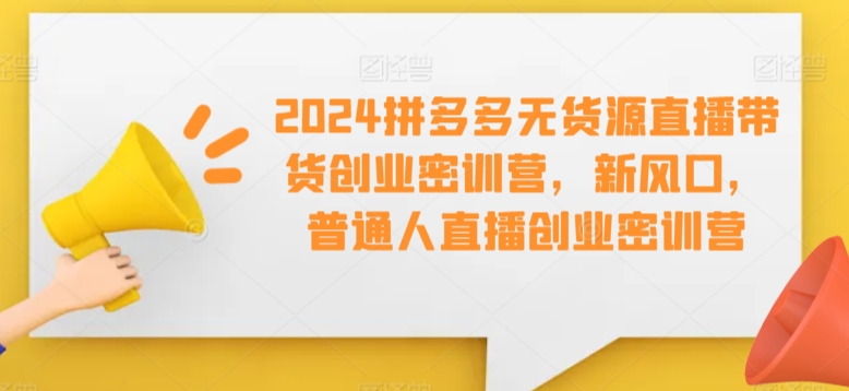 2024拼多多无货源直播带货创业密训营，新风口，普通人直播创业密训营-逐浪前行