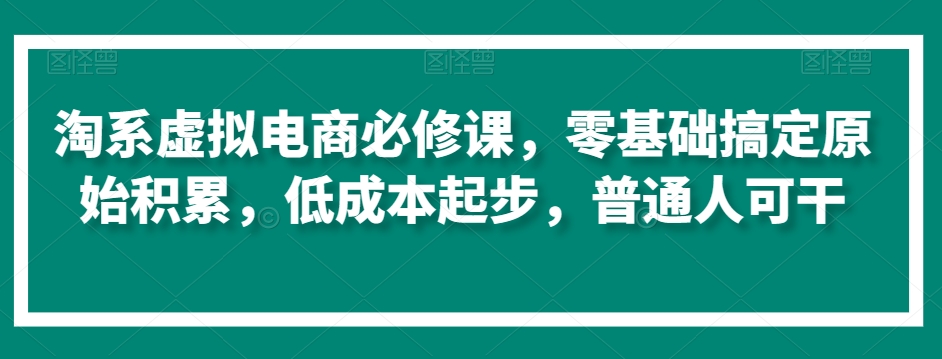 淘系虚拟电商必修课，零基础搞定原始积累，低成本起步，普通人可干-逐浪前行