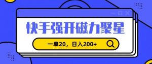 信息差赚钱项目，快手强开磁力聚星，一单20，日入200+【揭秘】-逐浪前行